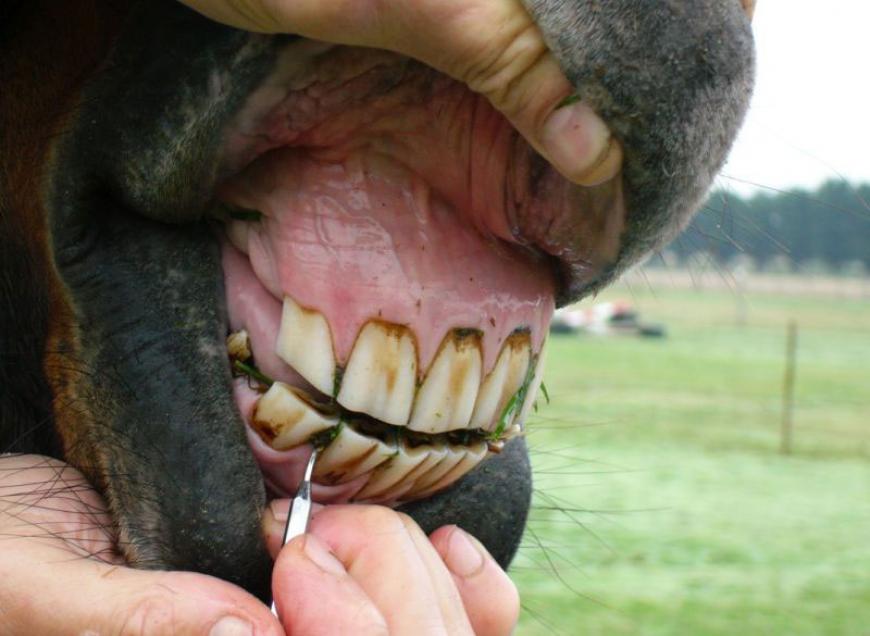 Routine Treatment
